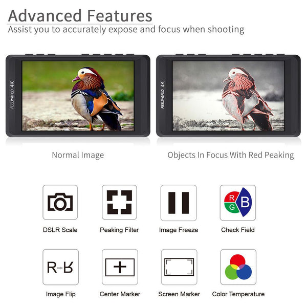 Camera Field Video Monitor