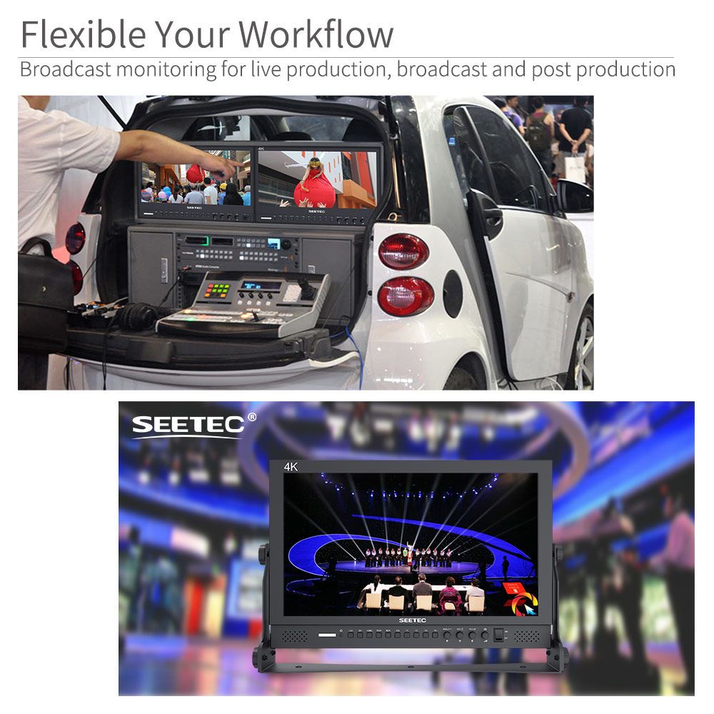 SEETEC P173-9HSD 17.3 インチ ブロードキャスト ディレクター