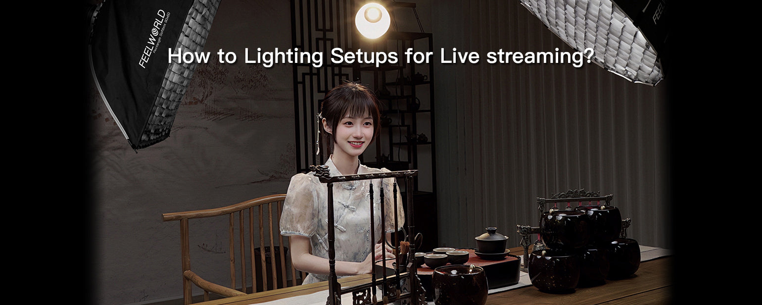 ふみさん専用　LUZeSOMBRD Setup How to Lighting Setups for Live streaming？ – feelworld official store