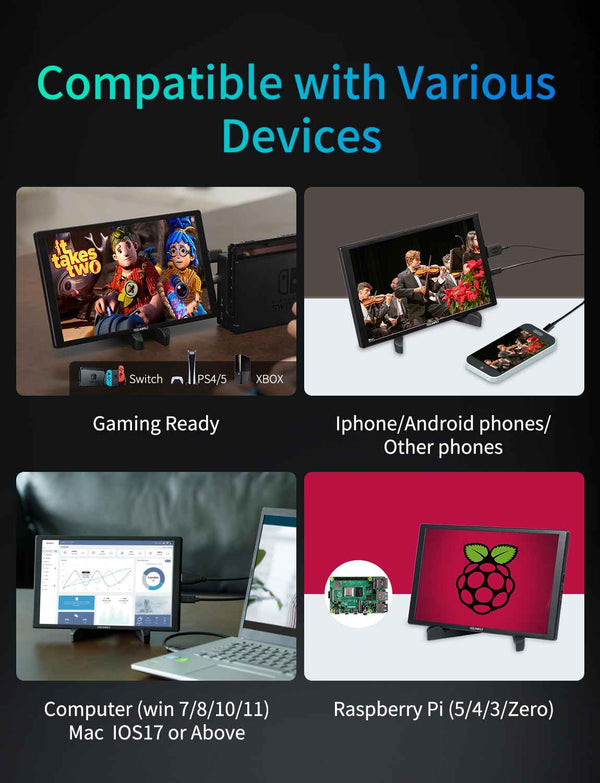 FEELWORLD D10 10.1 inch 350nit  Portable External Monitor Touch FHD1920x1200 USB-C HDMI